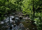 2016 07- D8H6247 : Besök i Växjö, Skåne, Söderåsens Nationalpark